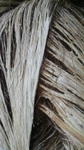 IMG_20150921_104111936